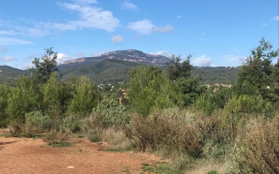 Risc màxim d'incendis al Vallès: restriccions d'accés a la zona de Sant Julià i al PN de Sant Llorenç | Adrián Arroyo